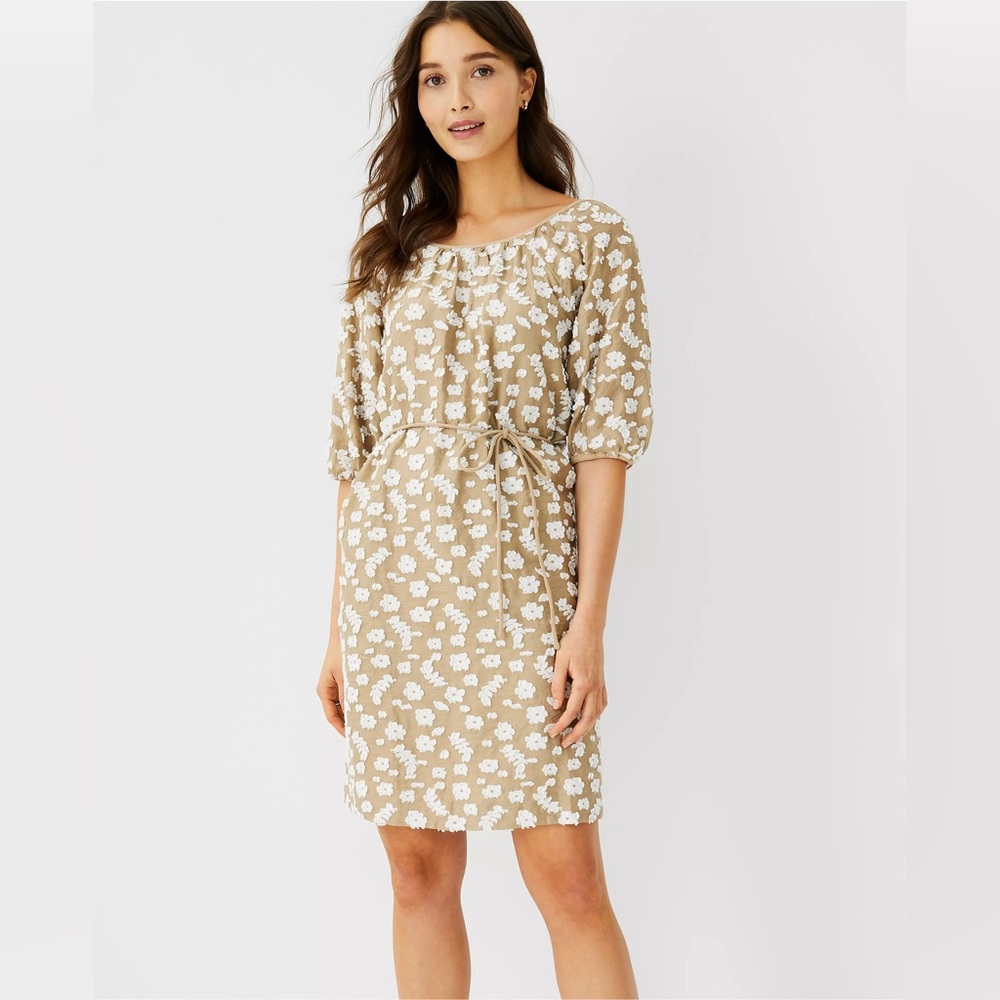 Ann Taylor Floral Clip Dress